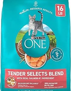 Purina ONE Natural Dry Cat Food Tender Selects Blend With Real Salmon 16 lb Bag Bangladesh (New)