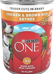 Purina ONE Natural High Protein Dog Food Tender Cuts in Gravy Chicken and Brown Rice Entrée 13 Ounce Pack of 12 Bangladesh (New)