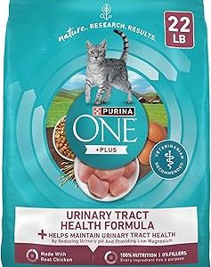 Purina ONE High Protein Dry Cat Food +Plus Urinary Tract Health Formula 22 lb Bag Bangladesh (New)