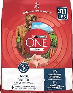 Purina One +Plus Dry Dog Food for Large Adult Dogs High Protein Real Chicken 31 1 lb Bag Bangladesh (New)