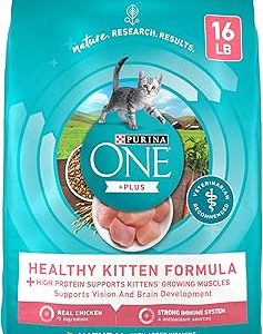 Purina ONE High Protein Natural Dry Kitten Food +Plus Healthy Kitten Formula 16 lb Bag Bangladesh (New)
